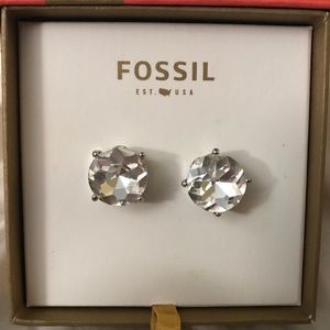 Fossil Earrings